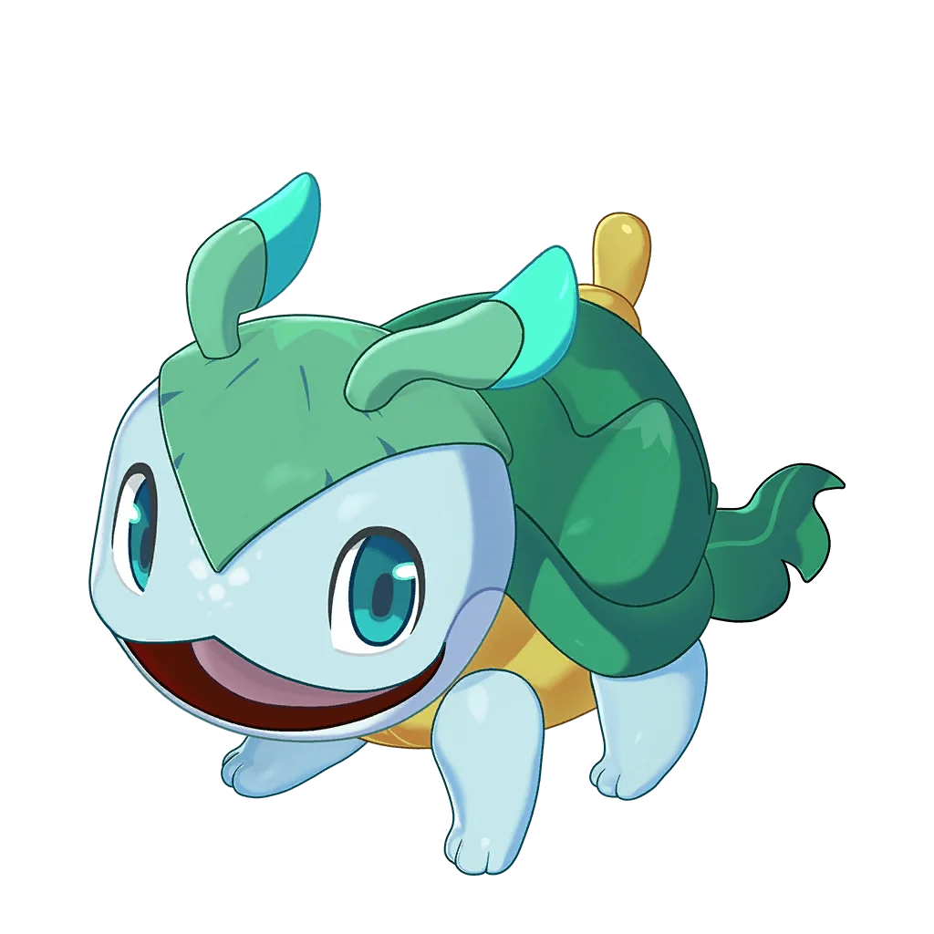 板板壳（本来的样子）