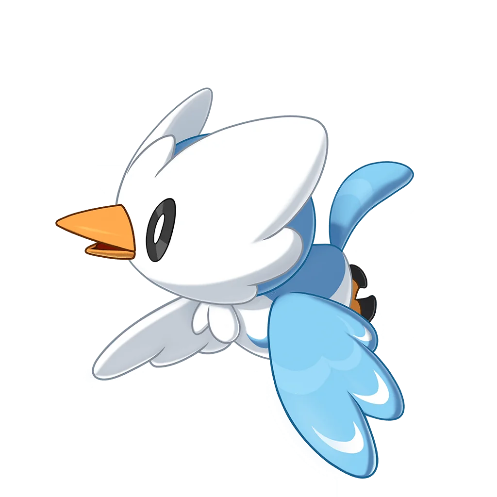 雪绒鸟（本来的样子）